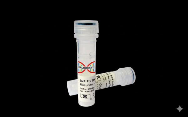 Oligo Synthesis (25nm scale, desalted)