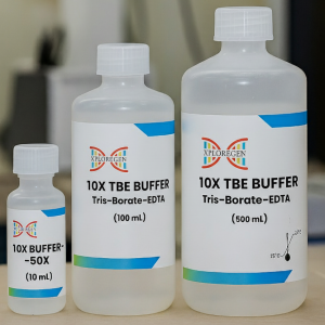 10X TBE Buffer
