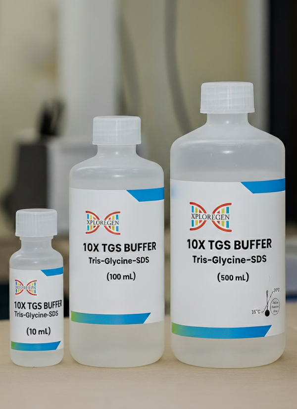 10X TGS Buffer