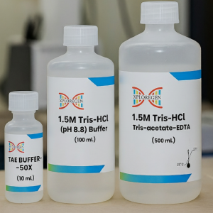 1.5M Tris-HCL (pH 8.8) Buffer
