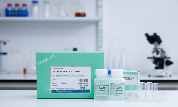 Gel Extraction Kit