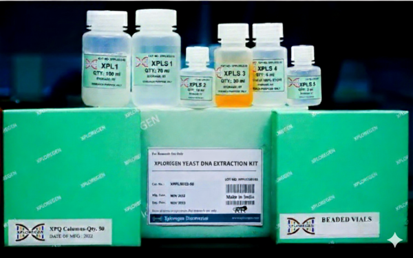 Genomic DNA Extraction Kit: Yeast (Column Method)