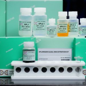 Genomic DNA Extraction Kit: Algal (Magnetic Based)