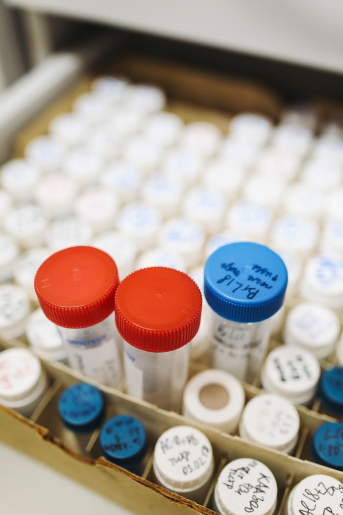Organized lab test tubes with color-coded caps in a scientific setting.