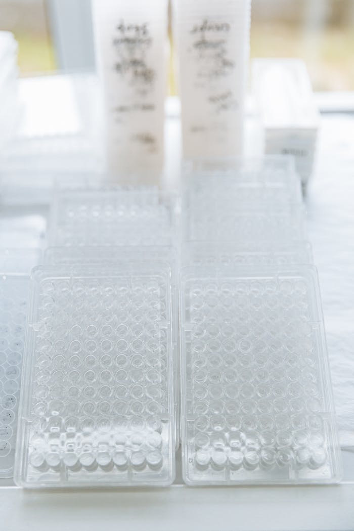 Close-up of clear plastic laboratory trays in a sterile environment.